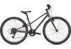 Specialized JETT 24 INT 24 SMOKE/FLAKE SILVER