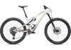 Specialized SJ EVO EXPERT S3 BIRCH/TAUPE